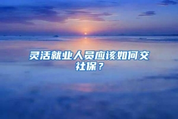 灵活就业人员应该如何交社保？