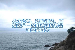 人才公寓、就业补贴、直接落户…金山这场招聘会信息量很大