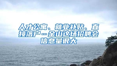 人才公寓、就业补贴、直接落户…金山这场招聘会信息量很大