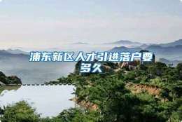 浦东新区人才引进落户要多久