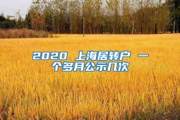 2020 上海居转户 一个多月公示几次