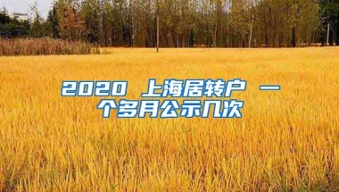 2020 上海居转户 一个多月公示几次