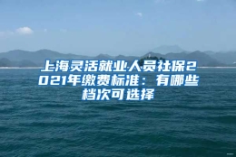 上海灵活就业人员社保2021年缴费标准：有哪些档次可选择