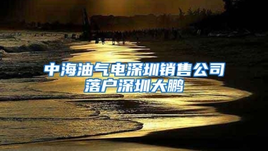 中海油气电深圳销售公司落户深圳大鹏