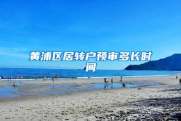 黄浦区居转户预审多长时间