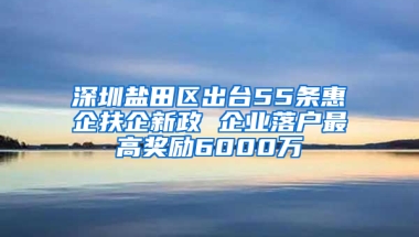 深圳盐田区出台55条惠企扶企新政 企业落户最高奖励6000万