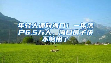 年轻人涌向海口！一年落户6.5万人，海口房子快不够用了