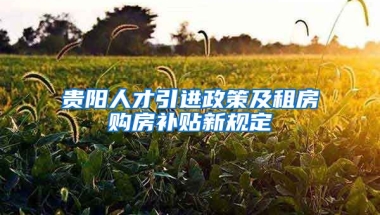 贵阳人才引进政策及租房购房补贴新规定