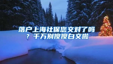 落户上海社保您交对了吗？千万别傻傻白交啦