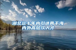 湖北欲十年内引进两千海内外高层次人才