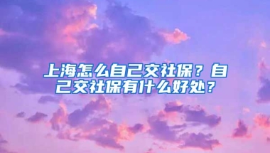 上海怎么自己交社保？自己交社保有什么好处？