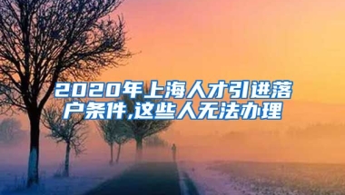 2020年上海人才引进落户条件,这些人无法办理