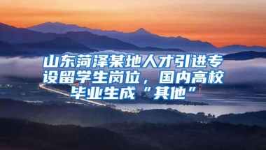 山东菏泽某地人才引进专设留学生岗位，国内高校毕业生成“其他”