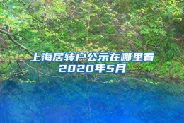 上海居转户公示在哪里看2020年5月