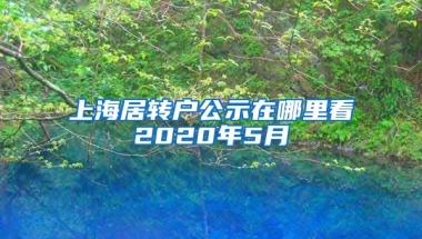 上海居转户公示在哪里看2020年5月