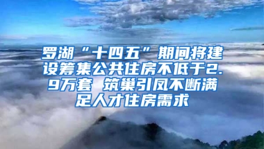 罗湖“十四五”期间将建设筹集公共住房不低于2.9万套 筑巢引凤不断满足人才住房需求