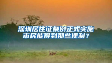 深圳居住证条例正式实施市民能得到那些便利？