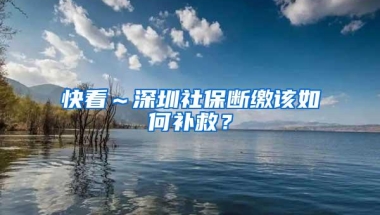 快看～深圳社保断缴该如何补救？