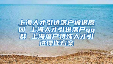 上海人才引进落户被退原因 上海人才引进落户qq群 上海落户特殊人才引进操作方案