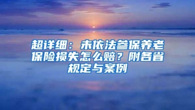 超详细：未依法参保养老保险损失怎么赔？附各省规定与案例