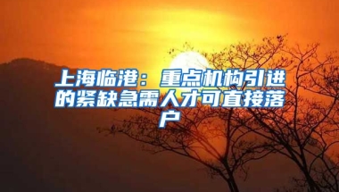 上海临港：重点机构引进的紧缺急需人才可直接落户