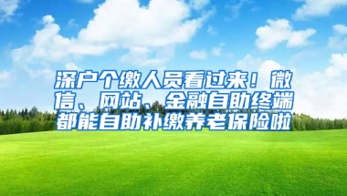 深户个缴人员看过来！微信、网站、金融自助终端都能自助补缴养老保险啦