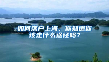 如何落户上海，你知道你该走什么途径吗？