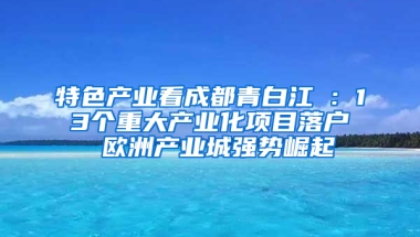 特色产业看成都青白江①：13个重大产业化项目落户 欧洲产业城强势崛起