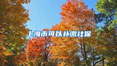 上海市可以补缴社保