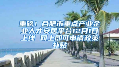 重磅！合肥市重点产业企业人才安居平台12月1日上线 网上即可申请政策补贴