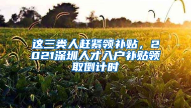 这三类人赶紧领补贴，2021深圳人才入户补贴领取倒计时