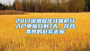 2017深圳居住社保积分入户申报只剩7天，符合条件的赶紧去报