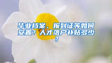 毕业档案、报到证等如何安置？人才落户补贴多少？