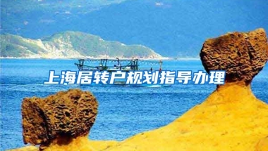 上海居转户规划指导办理