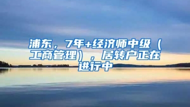 浦东，7年+经济师中级（工商管理），居转户正在进行中