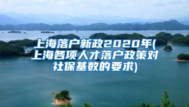 上海落户新政2020年(上海各项人才落户政策对社保基数的要求)