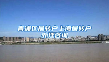 青浦区居转户上海居转户办理咨询