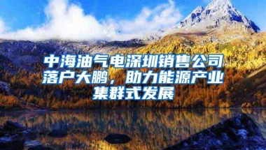 中海油气电深圳销售公司落户大鹏，助力能源产业集群式发展