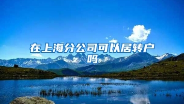 在上海分公司可以居转户吗