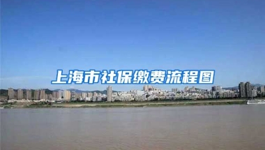 上海市社保缴费流程图