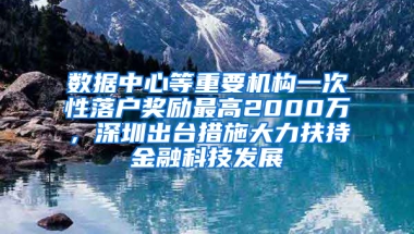 数据中心等重要机构一次性落户奖励最高2000万，深圳出台措施大力扶持金融科技发展