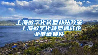 上海数字化转型补贴政策 上海数字化转型标杆企业申请条件