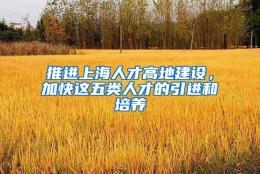 推进上海人才高地建设，加快这五类人才的引进和培养