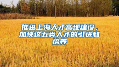 推进上海人才高地建设，加快这五类人才的引进和培养