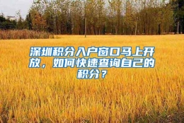 深圳积分入户窗口马上开放，如何快速查询自己的积分？