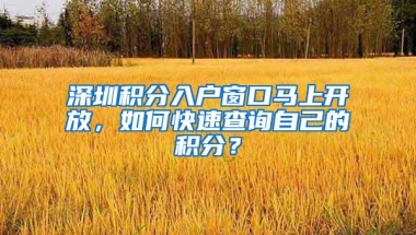 深圳积分入户窗口马上开放，如何快速查询自己的积分？