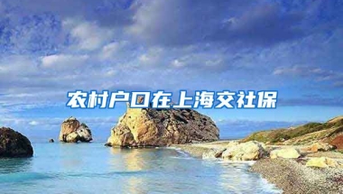 农村户口在上海交社保