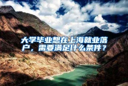 大学毕业想在上海就业落户，需要满足什么条件？