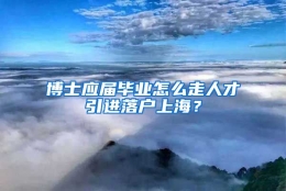 博士应届毕业怎么走人才引进落户上海？