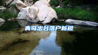 青岛出台落户新规